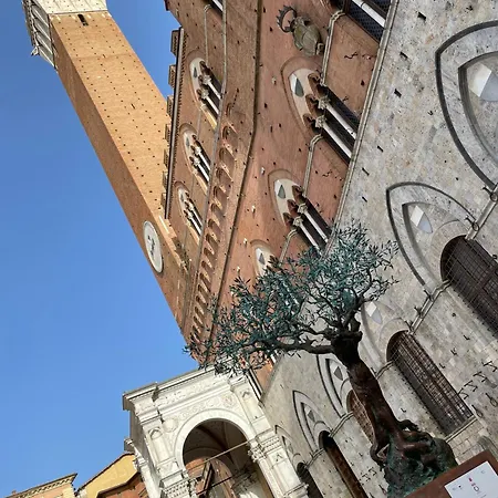 Acasasiena * Siena