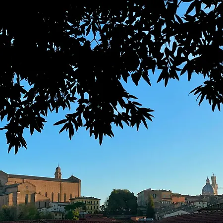 Acasasiena * Siena